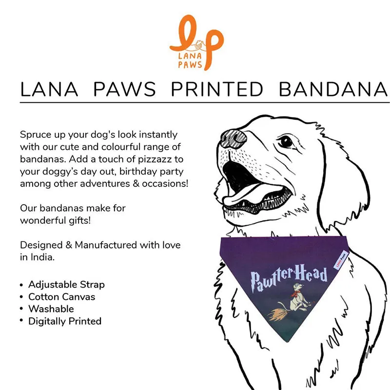 Lana Paws Pawtterhead Adjustable Dog Bandana/Scarf, Brown Gradient