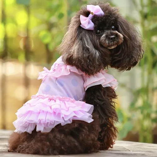 Pastel Polka Dots Cool Frill Dress