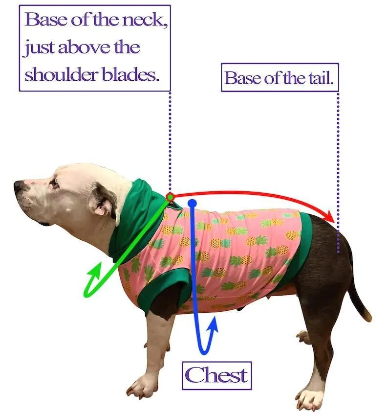 Winter Sleeveless Jacket With Velcro & Fleece Lining - Color Options